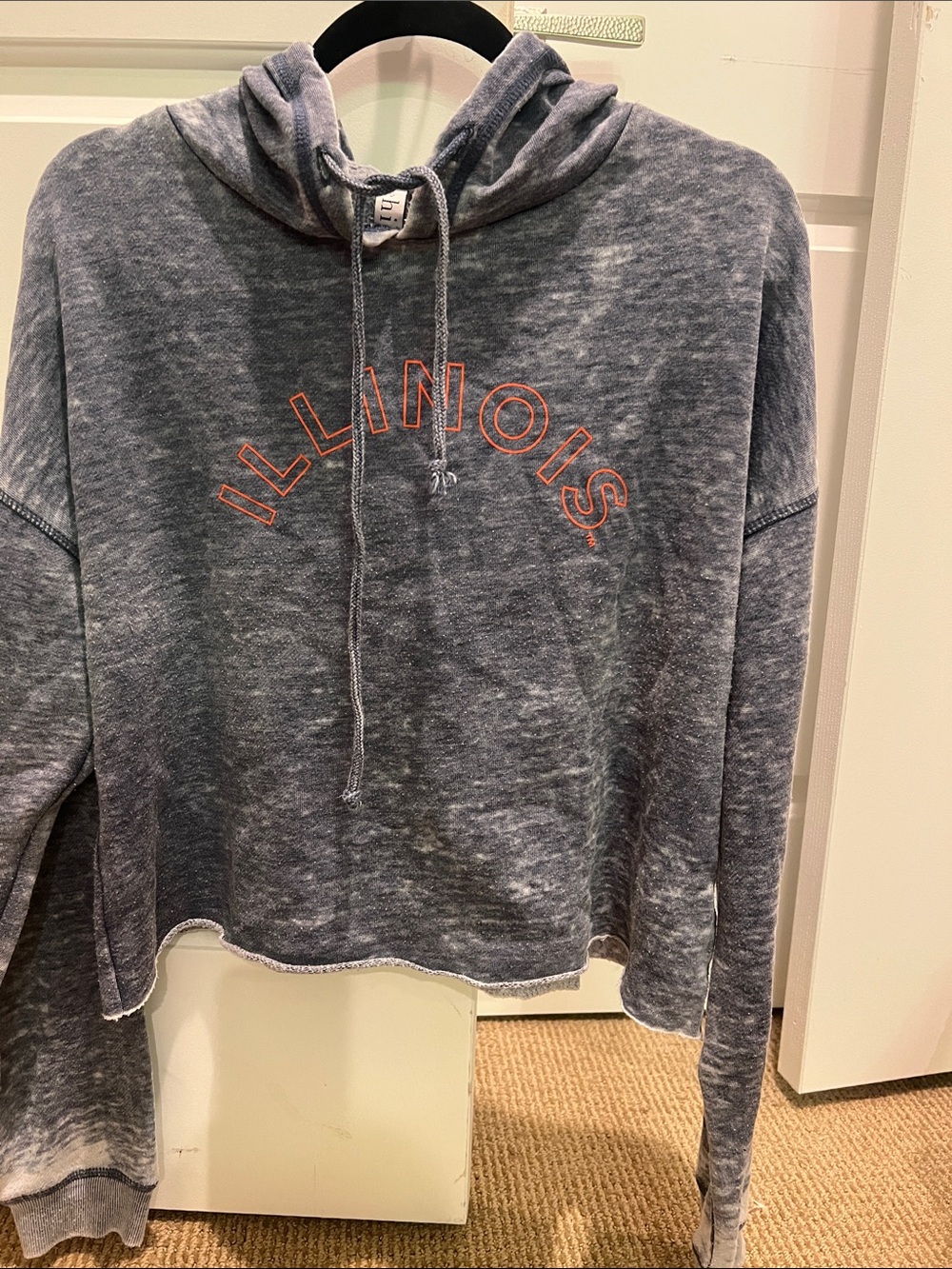 Blue-Gray Washed 'Illinois' Hooded Cropped Women's Sweatshirt, worn once, Sz L